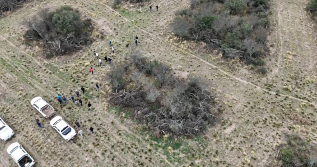 Experiencias que visibilizan la sustentabilidad del bosque pampeano