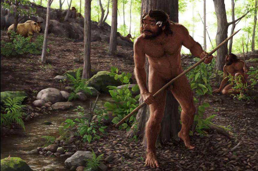 Reconstruccioacuten digital de un craacuteneo de un milloacuten de antildeos pone en jaque la cronologiacutea de la evolucioacuten humana