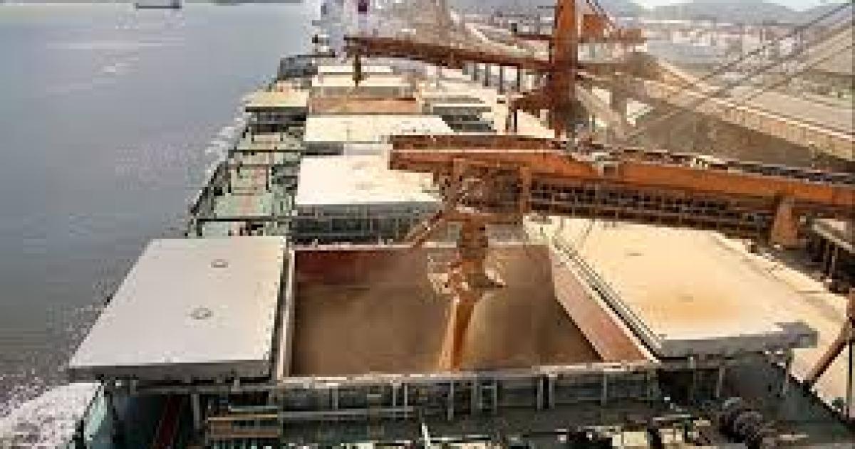 Retenciones cero- CARBAP advirtioacute que los productores quedaron fuera
