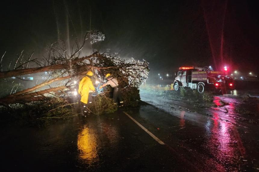 Los dantildeos que dejoacute la fuerte tormenta en General Pico