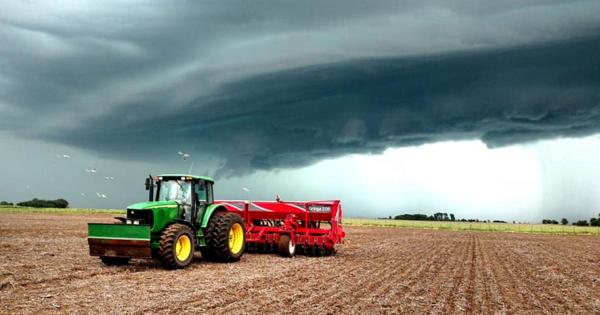 Otra vez la burra al trigo El agro necesita previsibilidad y ser entendido