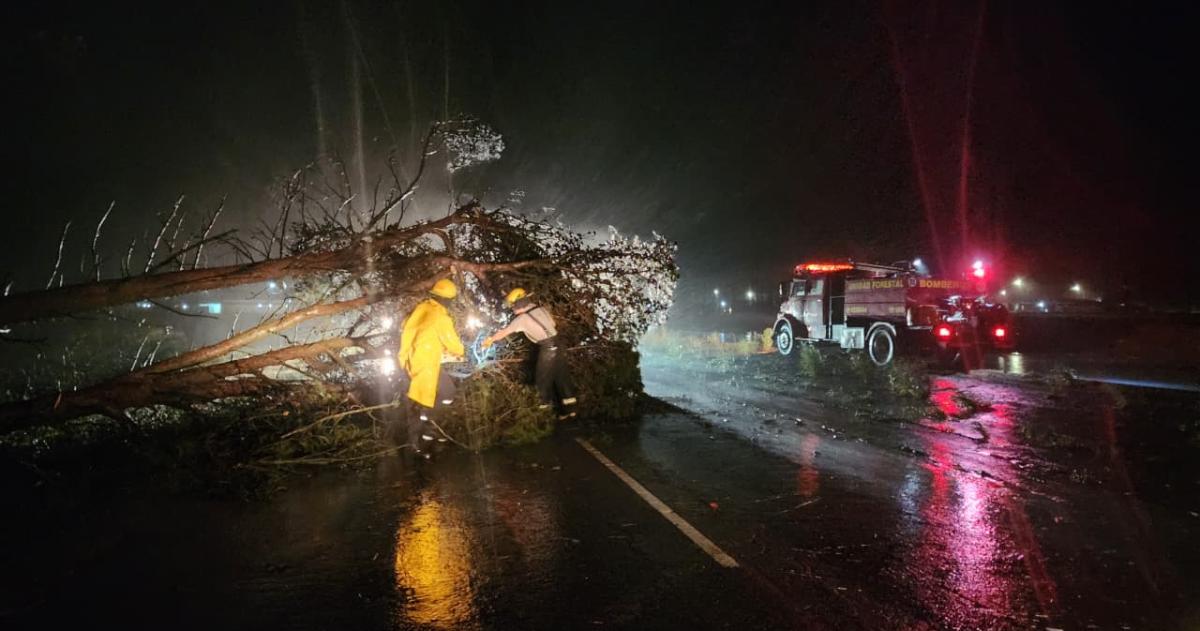 Los dantildeos que dejoacute la fuerte tormenta en General Pico