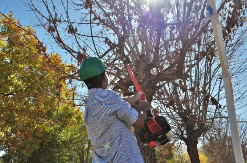 Alertan por llamadas falsas a podadores en Santa Rosa