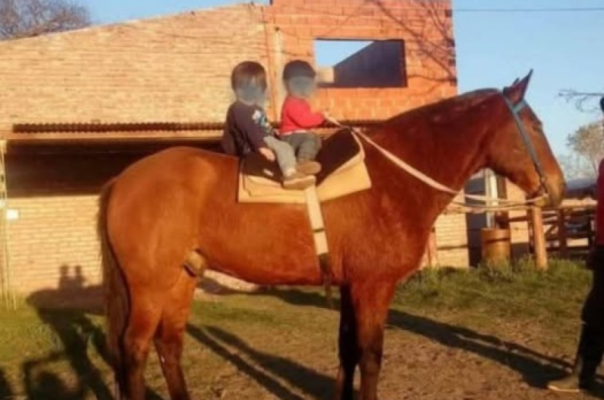 Indignacioacuten en Acha por la muerte de Tomacito un caballo de paseo