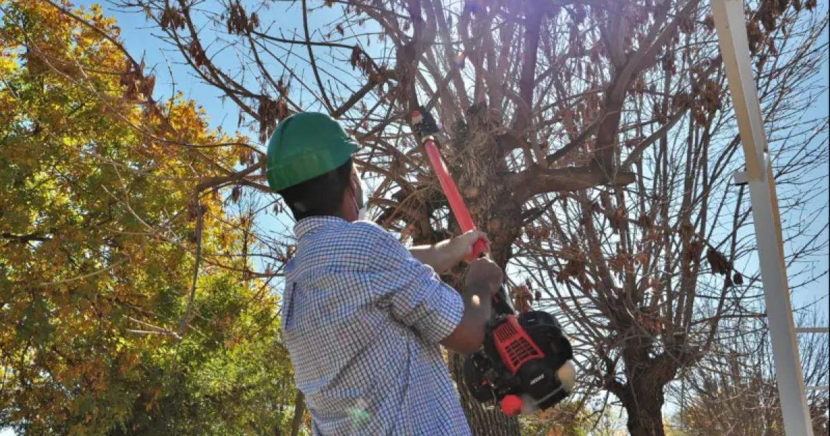 Alertan por llamadas falsas a podadores en Santa Rosa