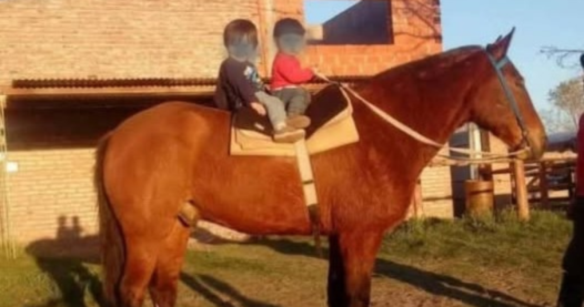 Indignacioacuten en Acha por la muerte de Tomacito un caballo de paseo