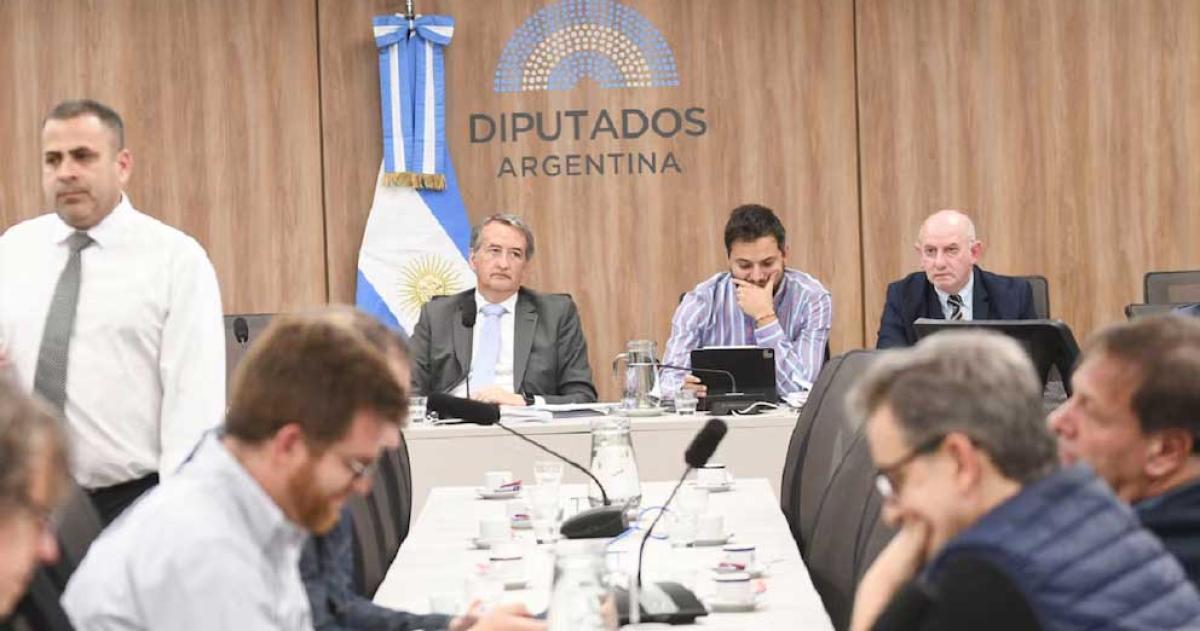 Divisioacuten opositora en Diputados complica la reforma de los DNU y el Gobierno confiacutea en el veto