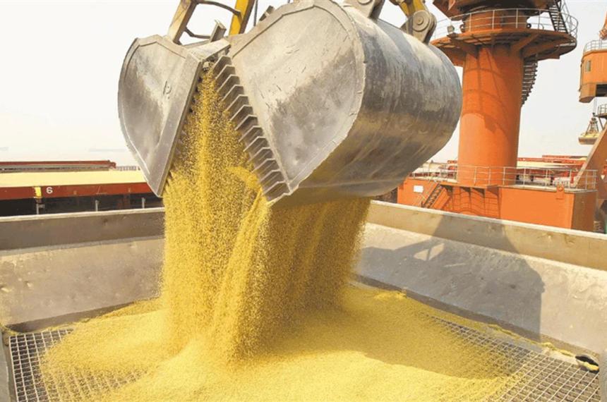 Reacutecord histoacuterico- el agro liquidoacute US 7100 millones en septiembre
