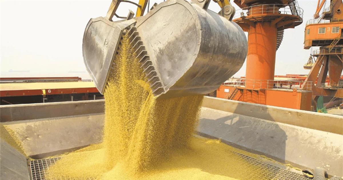 Reacutecord histoacuterico- el agro liquidoacute US 7100 millones en septiembre