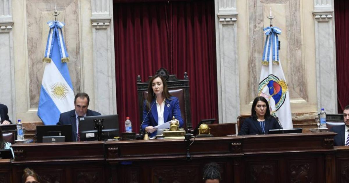 Sesiona el Senado para rechazar los vetos de Milei en Garrahan y universidades