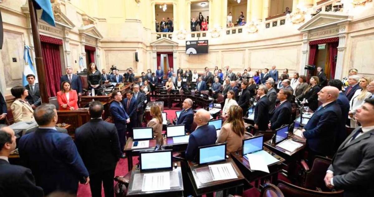 Reveacutes en el Senado- insisten con las leyes para universidades y el Garrahan