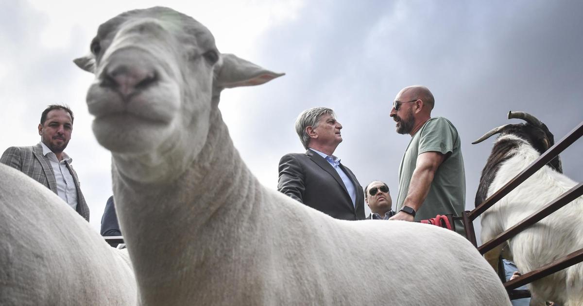 Ziliotto inauguroacute la 99deg Exposicioacuten Rural de Santa Rosa ratificoacute apoyo al sector agropecuario y anuncioacute fuerte inversioacuten en rutas