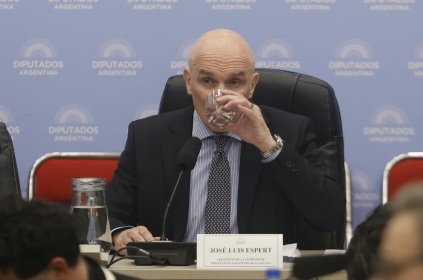 Espert tambieacuten renuncioacute a la Comisioacuten de Presupuesto y Hacienda en Diputados