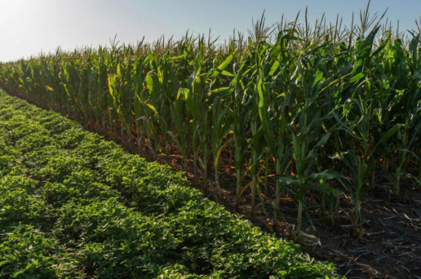 Campantildea gruesa- estaacute disponible la nueva liacutenea de creacutedito anunciada por Ziliotto en la Rural
