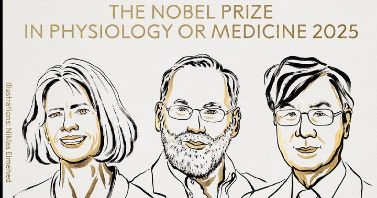 El Nobel de Medicina 2025 fue otorgado a Mary E Brunkow Fred Ramsdell y Shimon Sakaguchi