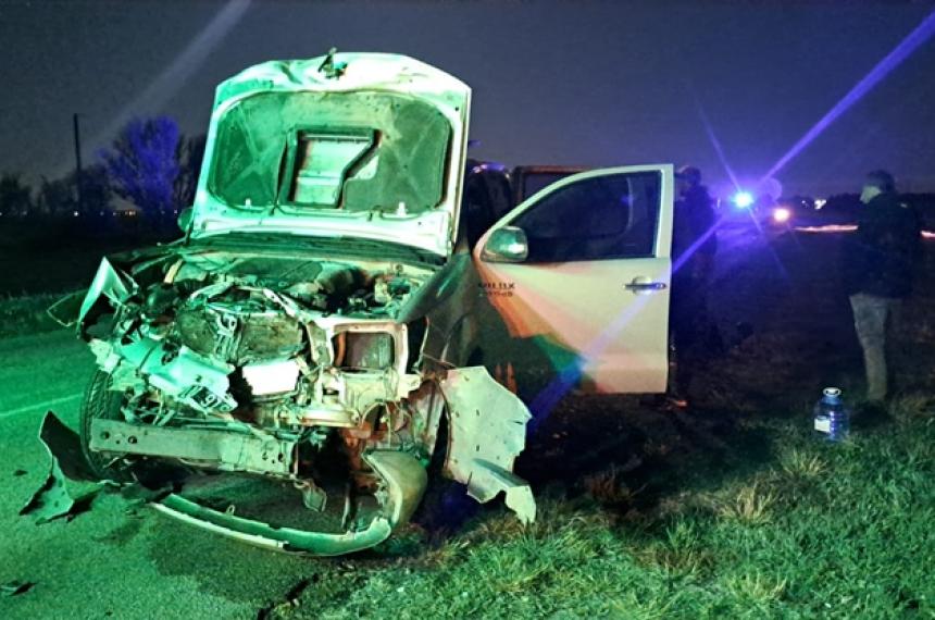 Una camioneta impactoacute contra una vaca en la Ruta Provincial 2 