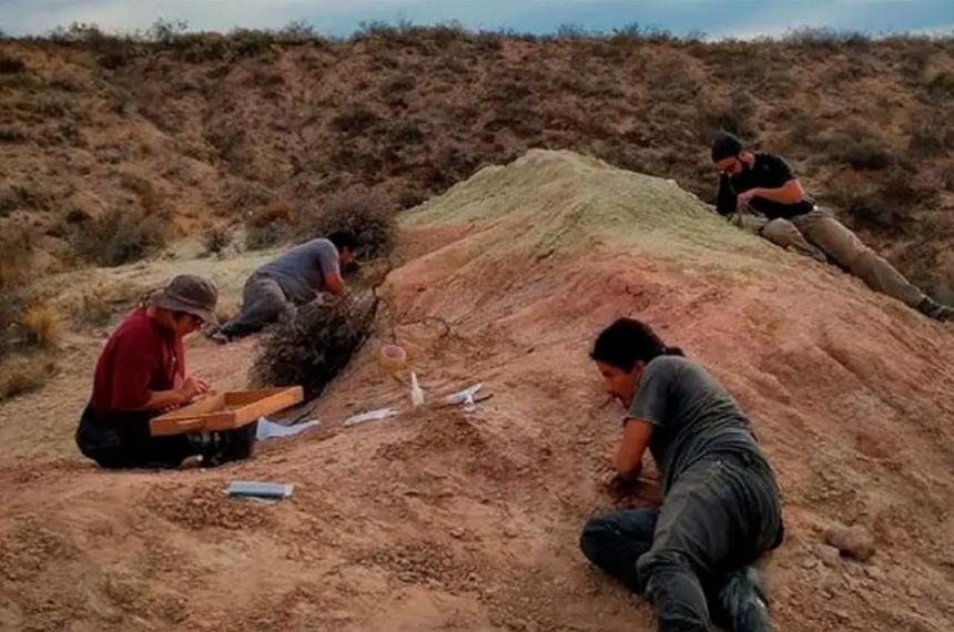 El Conicet transmite en vivo una expedicioacuten en busca de foacutesiles en la Patagonia