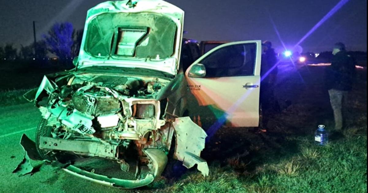 Una camioneta impactoacute contra una vaca en la Ruta Provincial 2 