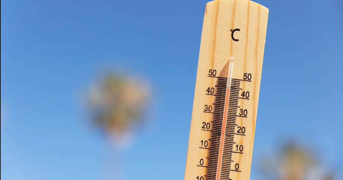  La temperatura promedio fue de 1611 grados Celsius