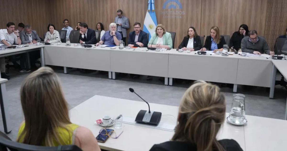 La directora de Defensa del Consumidor Florencia Rabario participó en el debate