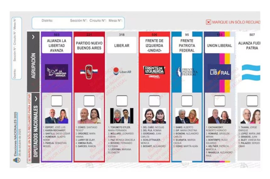 El Gobierno apeloacute el fallo por la reimpresioacuten de boletas en PBA