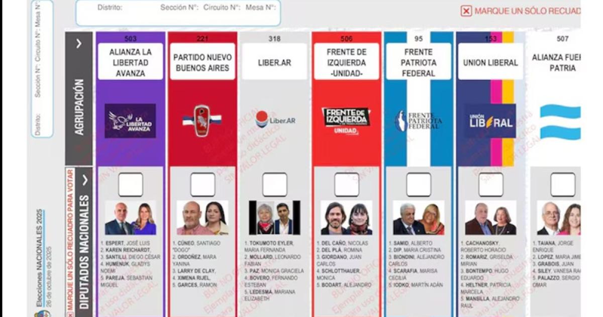 El Gobierno apeloacute el fallo por la reimpresioacuten de boletas en PBA