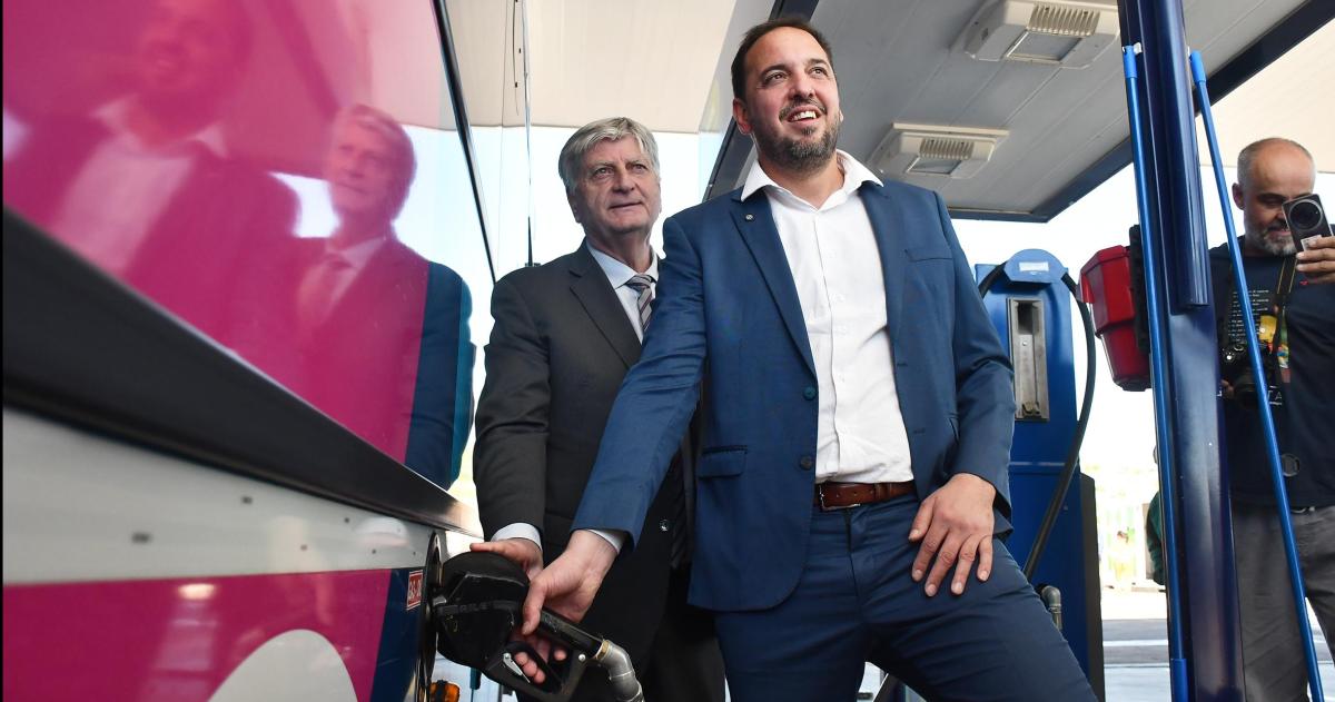 Imaacutegenes de la semana