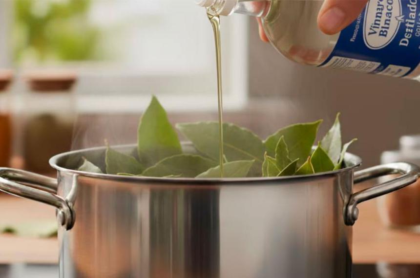 Laurel y vinagre- el truco natural para perfumar y limpiar tu hogar