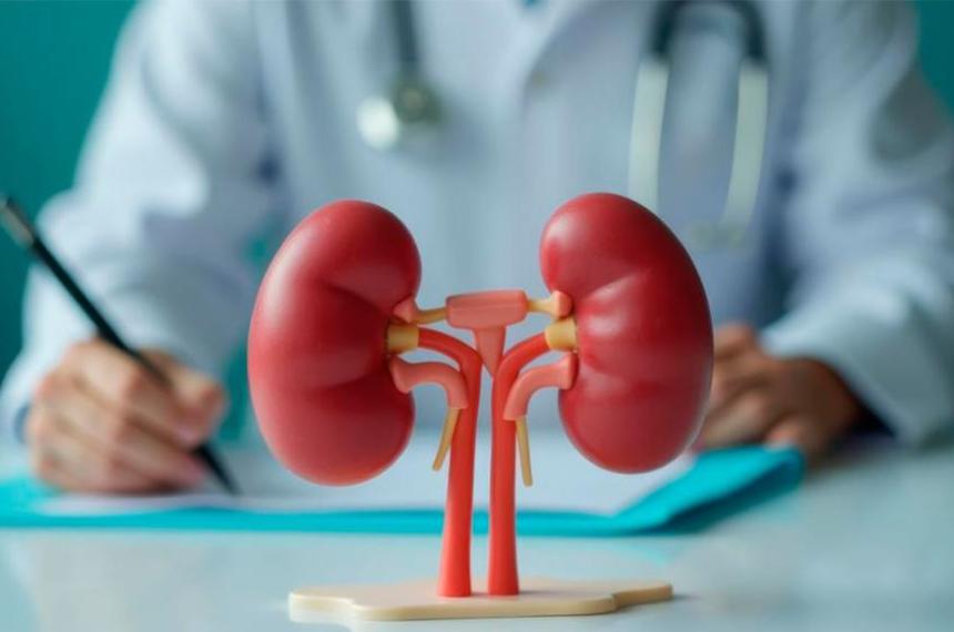 Cuidaacute tus rintildeones- estos tres alimentos pueden afectar su salud