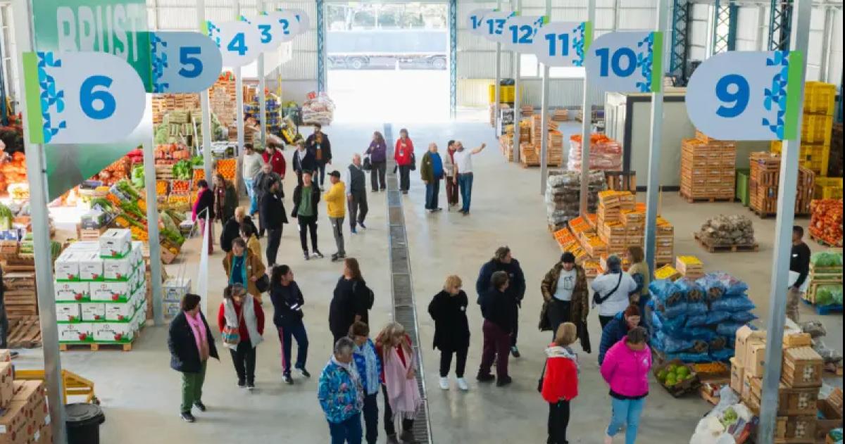 Ofertas en el Mercado Concentrador y en el Moacutedulo Despensa