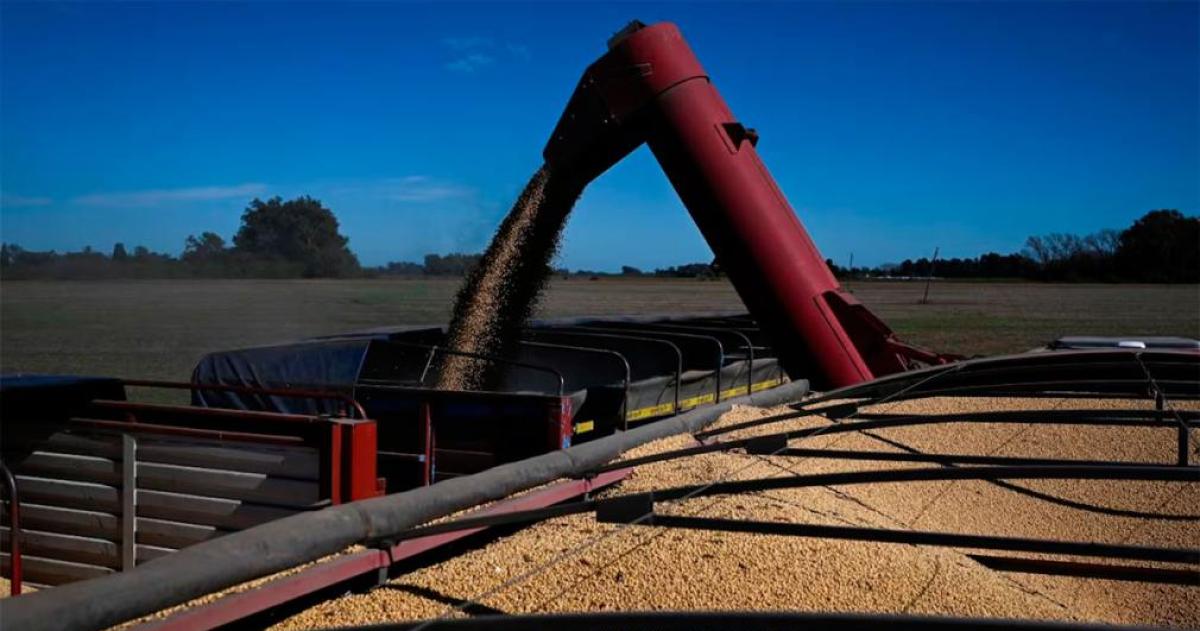 Superaacutevit comercial de USD 900 millones en septiembre impulsado por la baja temporal de retenciones