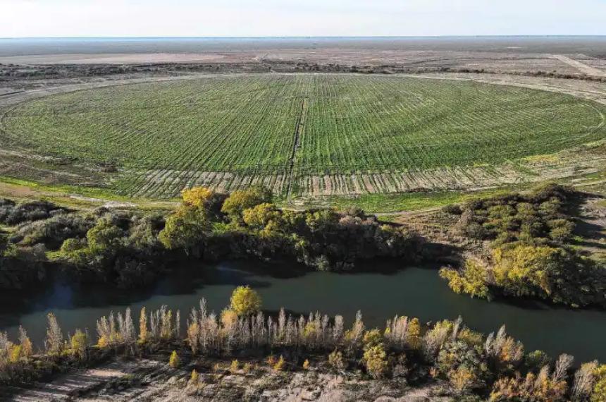 La zona de Negro Muerto en la ribera norte del río Negro el lugar elegido por la colonia menonita para una millonaria inversión