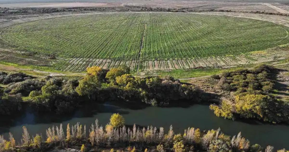 La zona de Negro Muerto en la ribera norte del río Negro el lugar elegido por la colonia menonita para una millonaria inversión