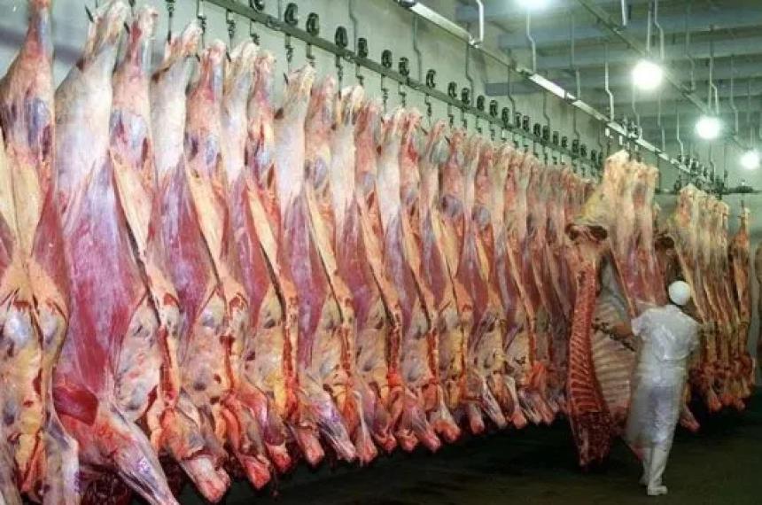 El cupo sería elevado a 80000 toneladas por año
