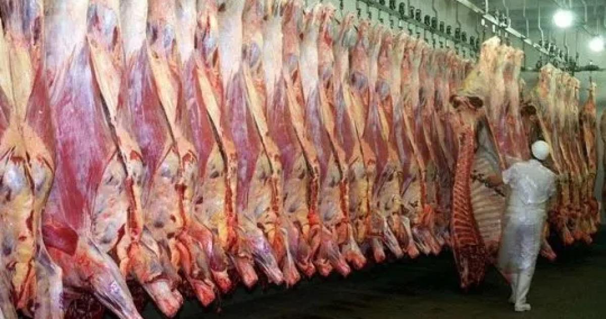 El cupo sería elevado a 80000 toneladas por año