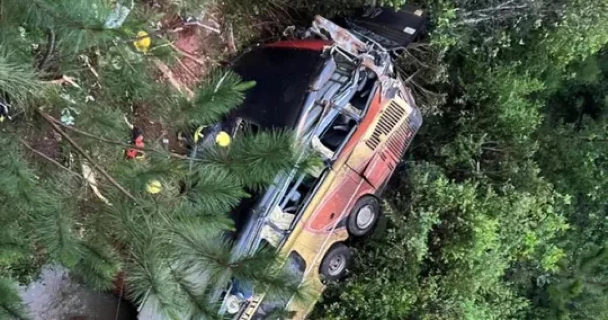 El micro cayó en un arroyo en Misiones Llevaba 50 pasajeros