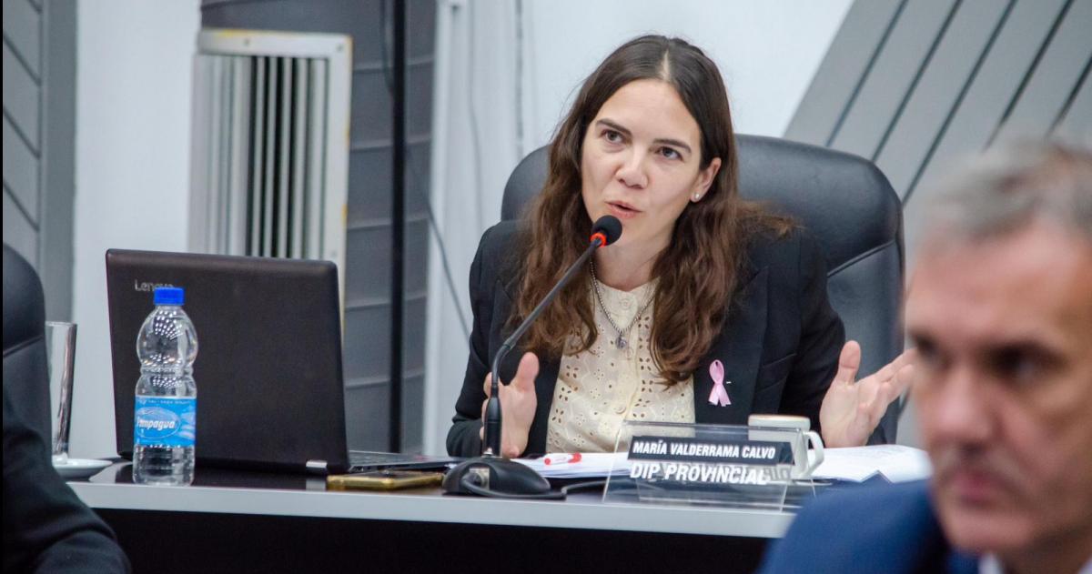 Diputada por la UCR Andrea Valderrama