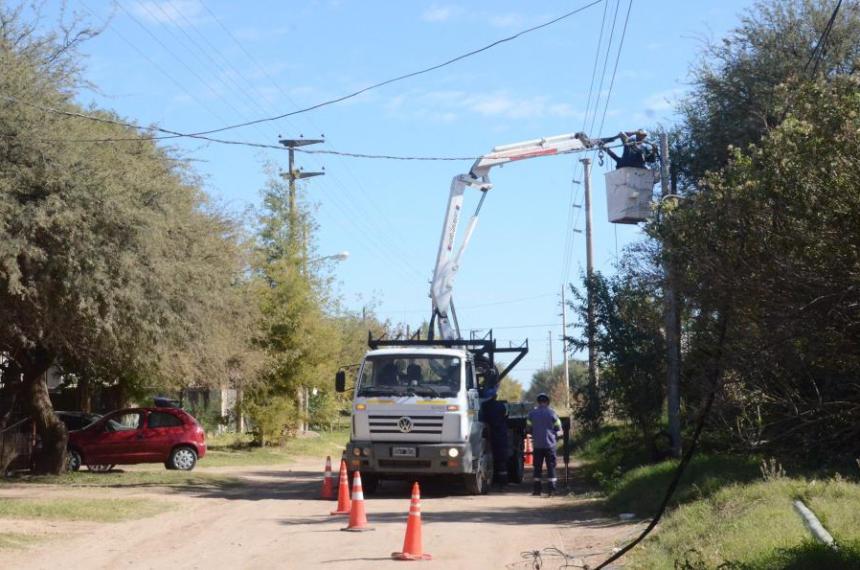 En algunos casos la Municipalidad detectó a las cuadrillas in fraganti
