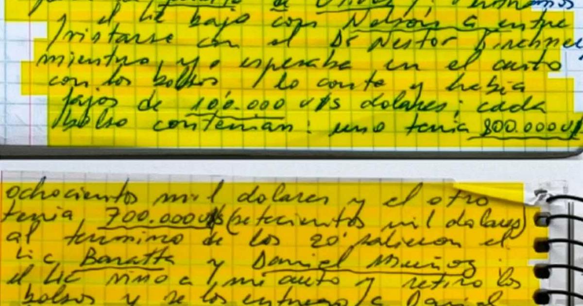 El informe de la fiscal fue contundente
