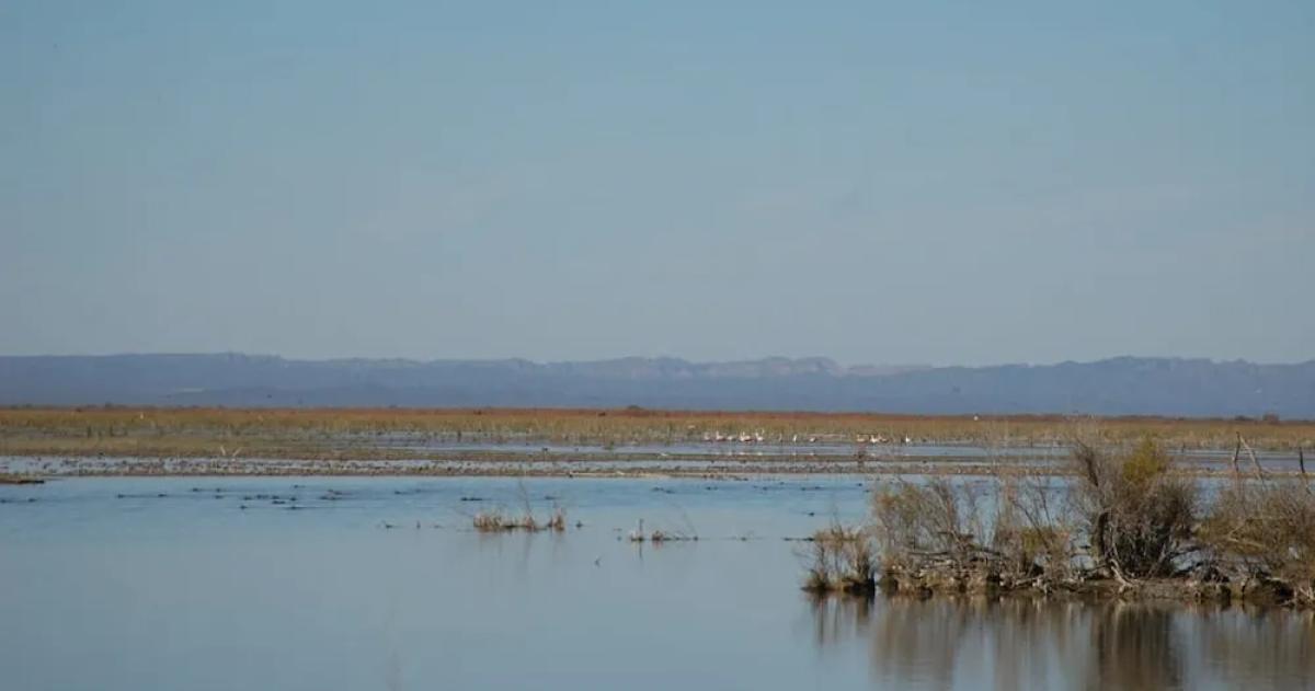 La Pampa pidioacute a la Corte seguir el juicio por la cuenca del Desaguadero