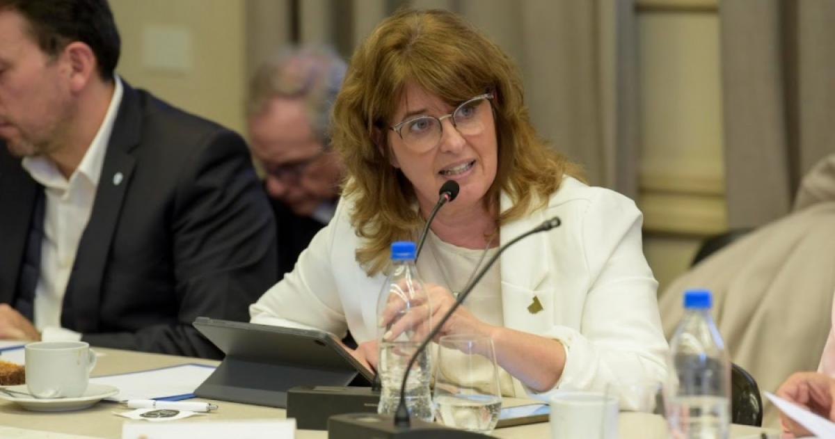 La ministra de Educación Marcela Feuerschvenger