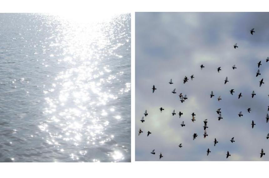 Muestra fotograacutefica de Constanza Peyraacuten