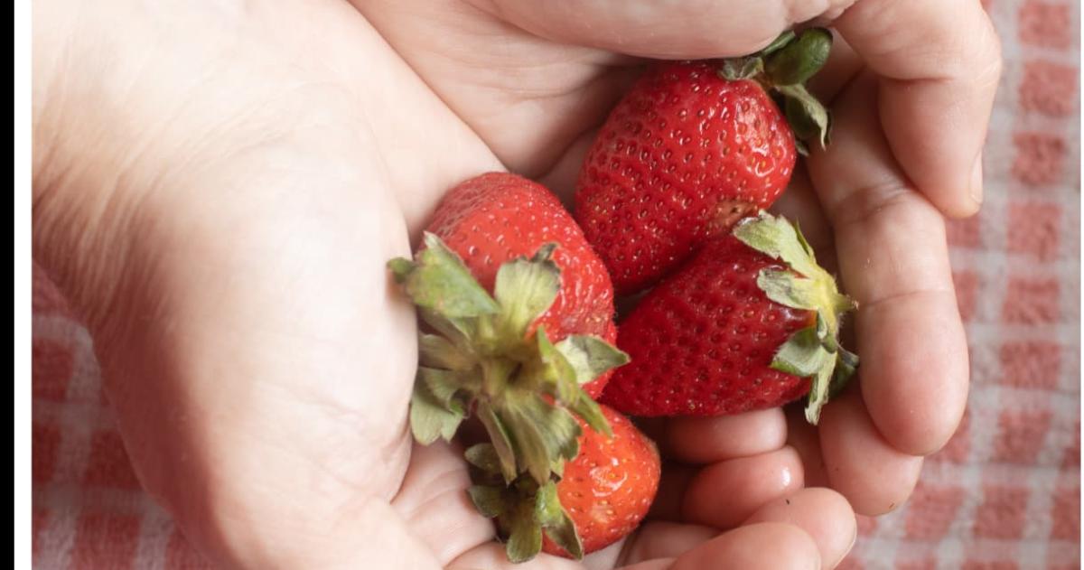 Muestra fotograacutefica de Constanza Peyraacuten
