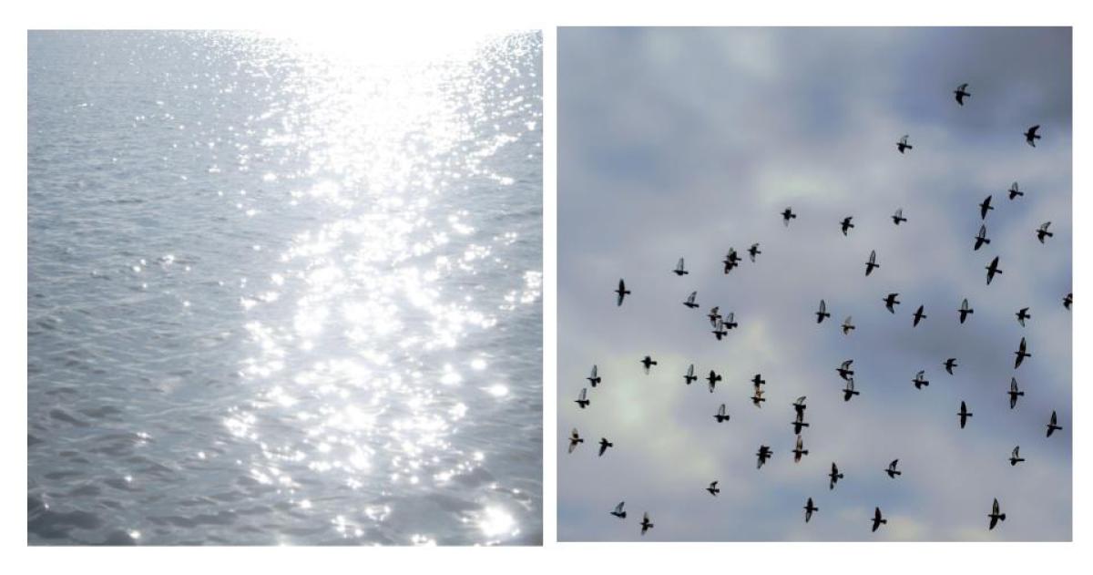 Muestra fotograacutefica de Constanza Peyraacuten