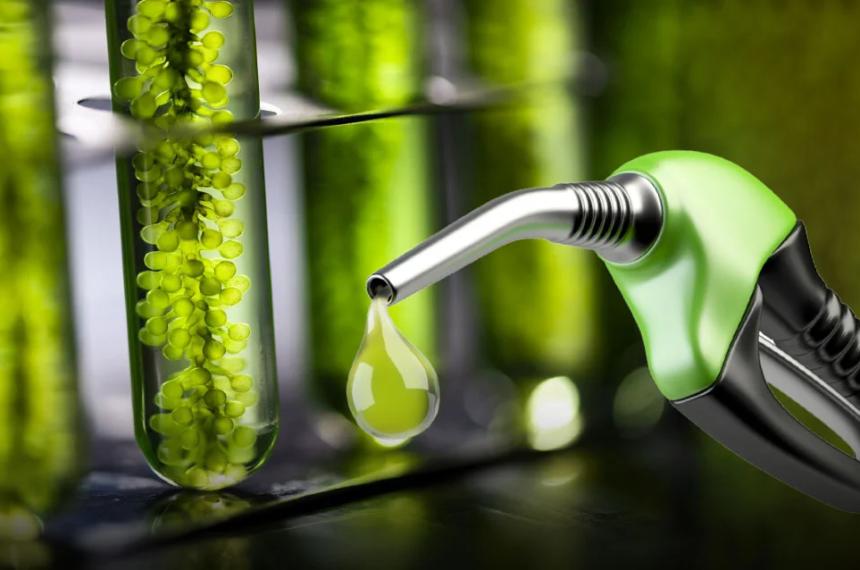 El Gobierno oficializoacute los nuevos precios de los biocombustibles