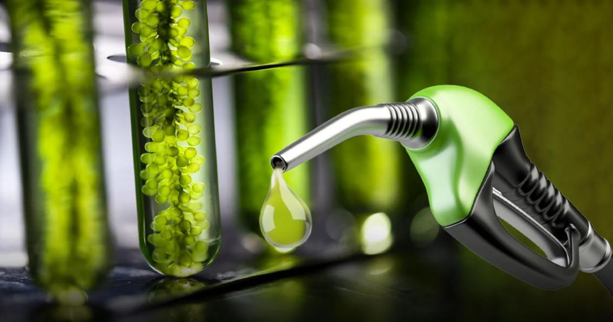 El Gobierno oficializoacute los nuevos precios de los biocombustibles