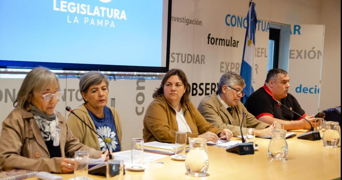 Representantes gremiales pasaron por la Legislatura