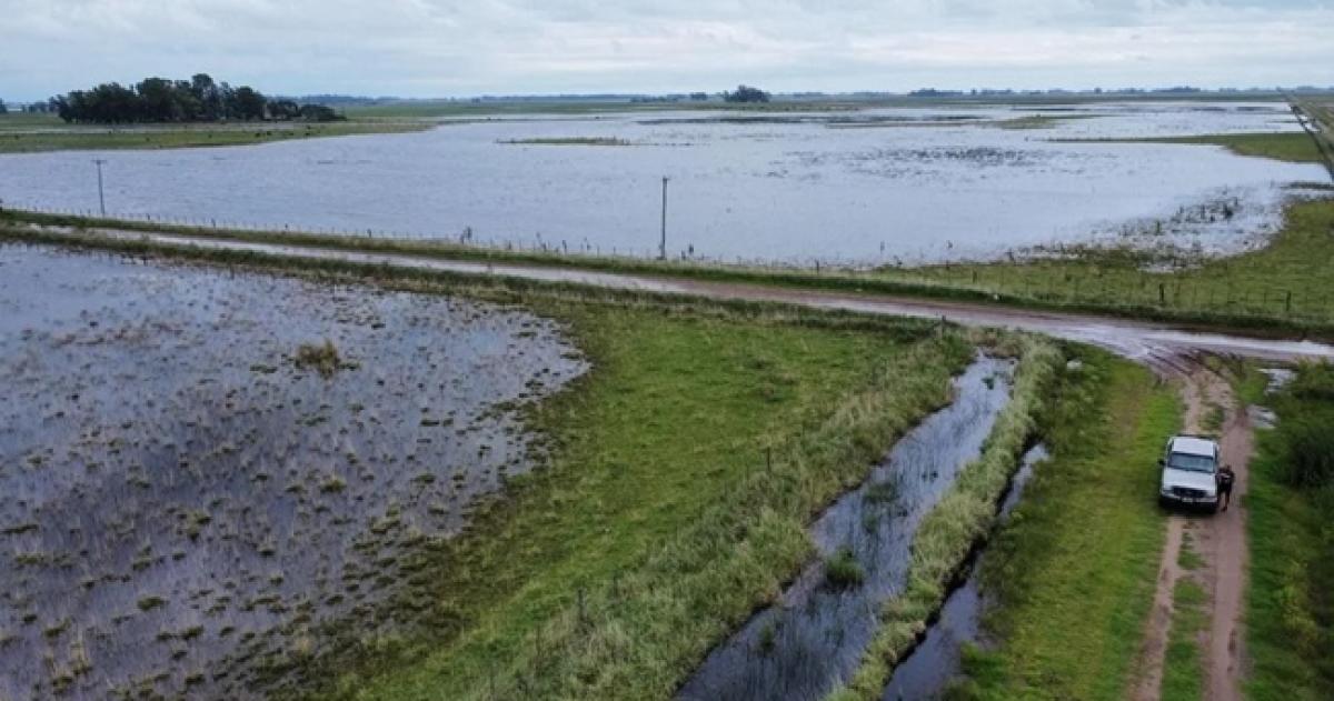 El Ministerio de Economía declaró la emergencia para el distrito Mandisoví de Entre Ríos y prorrogó dicho estado en diferentes ciudades de Buenos Aires y Río Negro