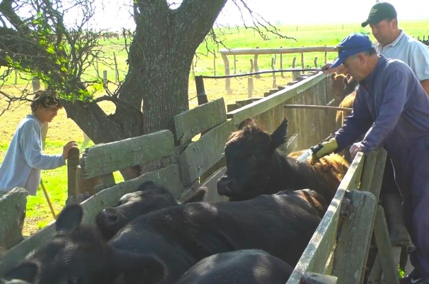 El campo dice que la medida implica altos costos operativos