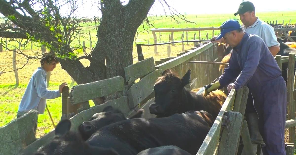 El campo dice que la medida implica altos costos operativos